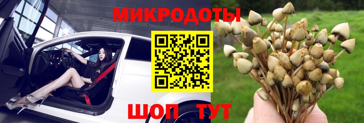 Шатура  Псилоцибиновые грибы мицелий  Галлюциногенные грибы ЛСД  Вход с VPN 